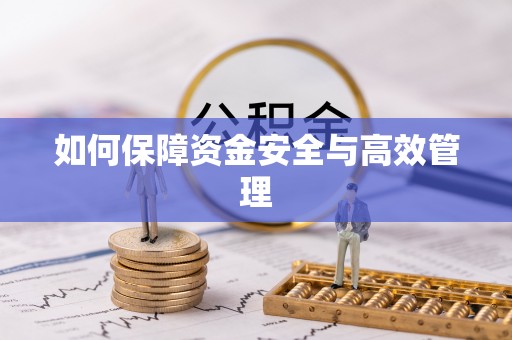 相城如何保障资金安全与高效管理