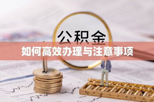 相城如何高效办理与注意事项