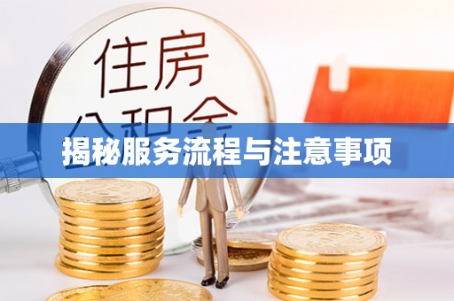 相城揭秘服务流程与注意事项