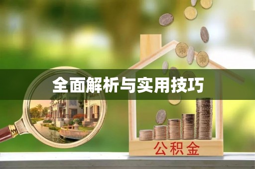 相城全面解析与实用技巧