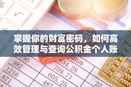相城掌握你的财富密码，如何高效管理与查询公积金个人账户信息