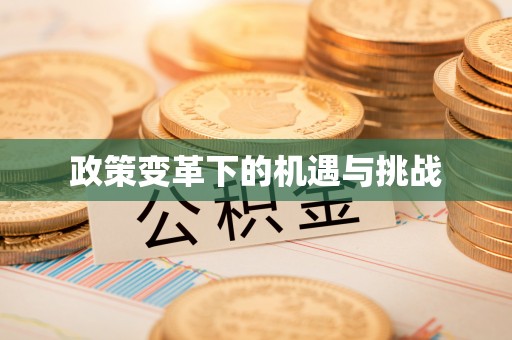 相城政策变革下的机遇与挑战