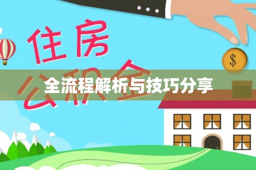 相城全流程解析与技巧分享