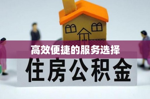 相城高效便捷的服务选择