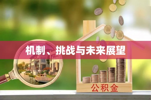 相城机制、挑战与未来展望